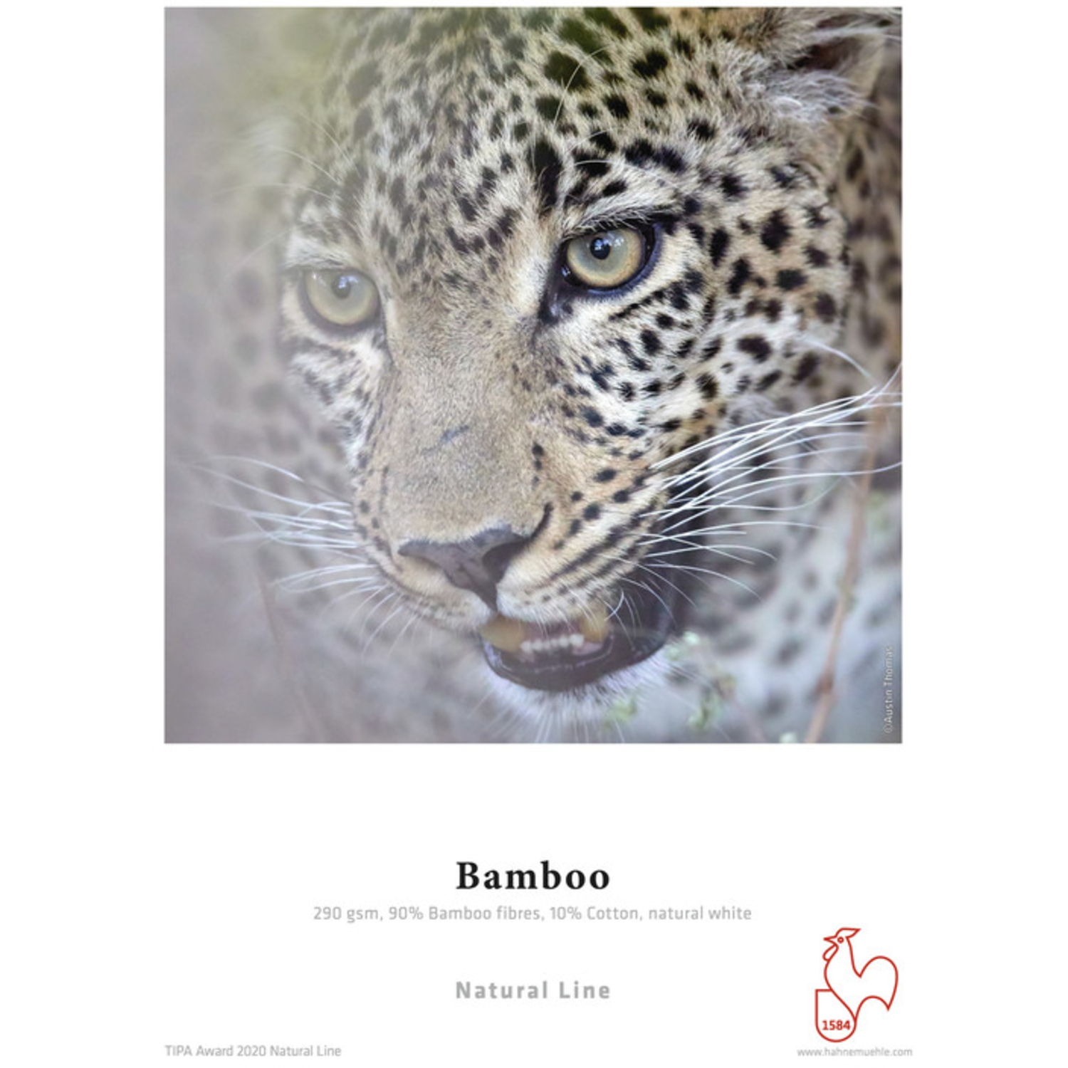 Hahnemühle Bamboo 290g/m² 17"x12m Rolle