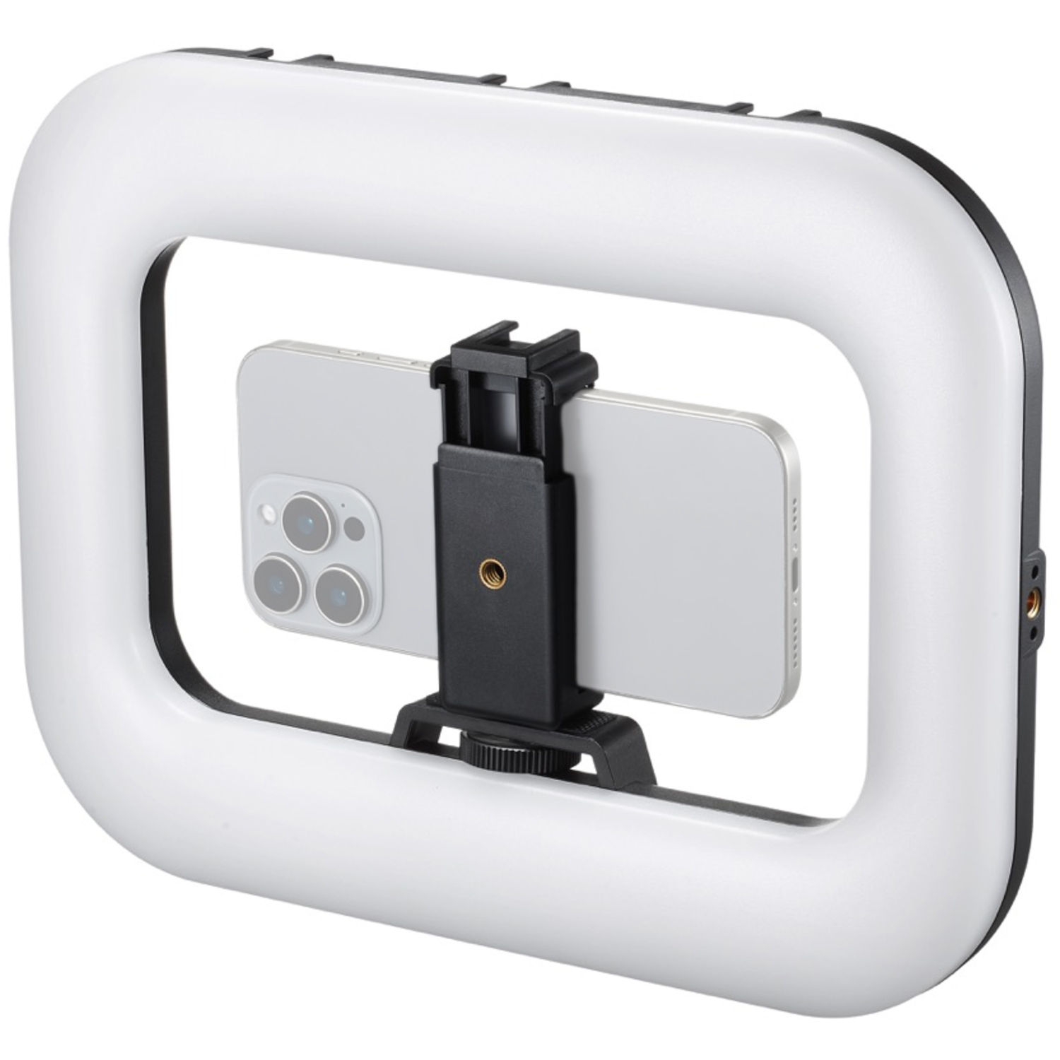 Godox Ringlicht Litemons SR20R