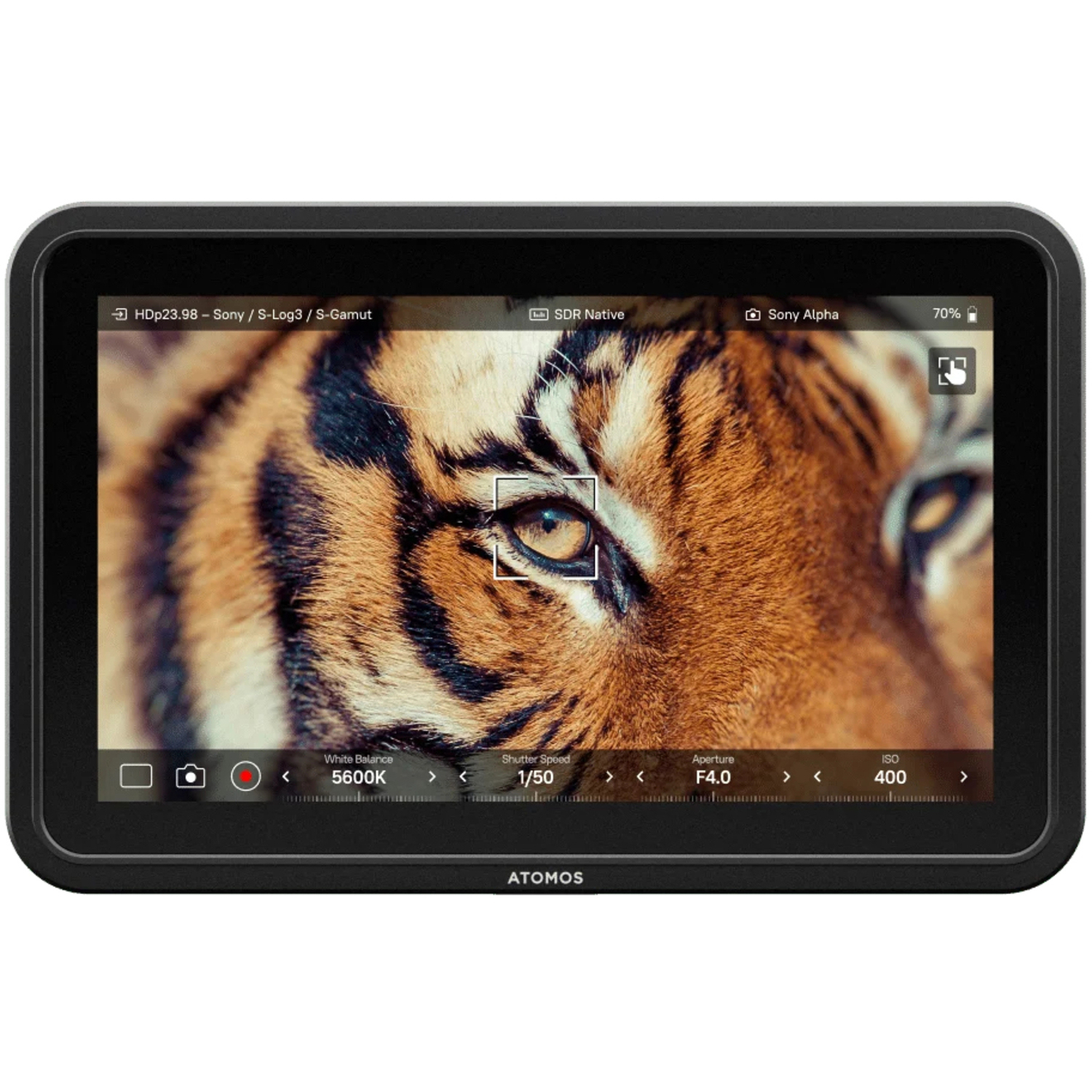 Atomos Shinobi 7 II 7"