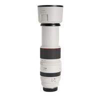 Canon RF 100-500mm F4.5-7.1L IS USM gebraucht
