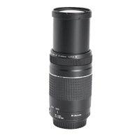 Canon EF 75-300mm F4-5.6 III gebraucht