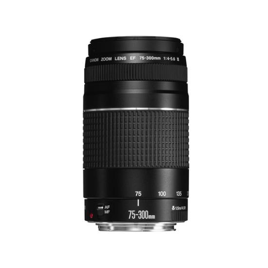 Canon EF 75-300mm F4-5.6 III 極美品 Canon EF 75-300mm F4-5.6 III online bestellen - Objektive für