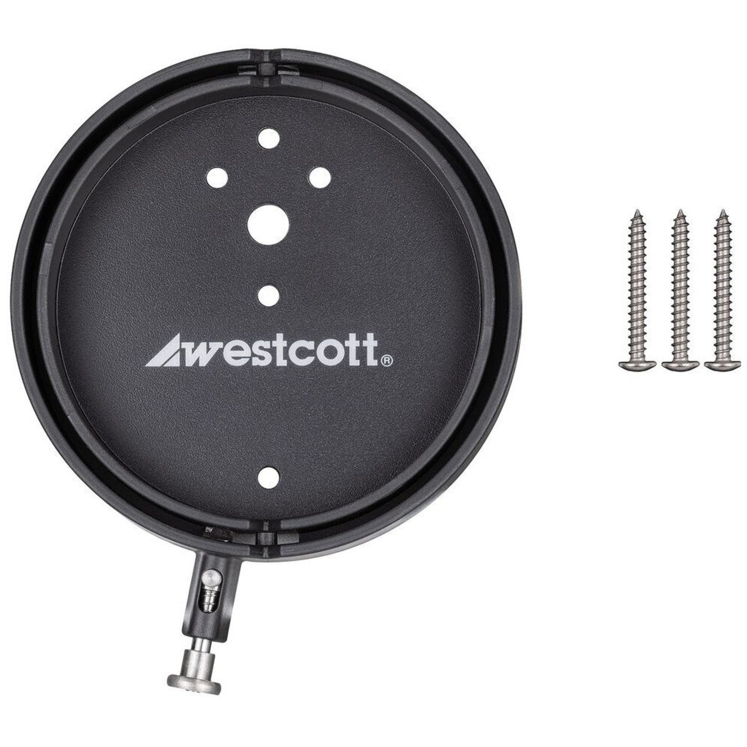 Westcott Float Wall Mount Speedring Elinchrom by Lindsay Adler
