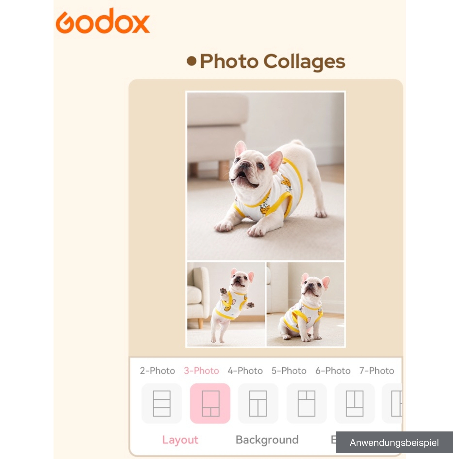 Godox Fotodrucker P100