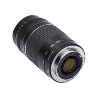 Canon EF 75-300 mm/4-5,6 III USM gebraucht